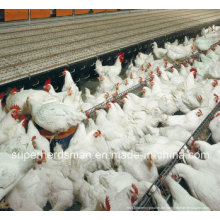 Autoamtic Poultry Farm Equipment für Züchter Huhn